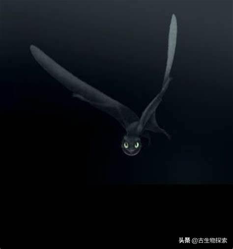 扁嘴、大眼、倒挂树，这翼龙好神奇