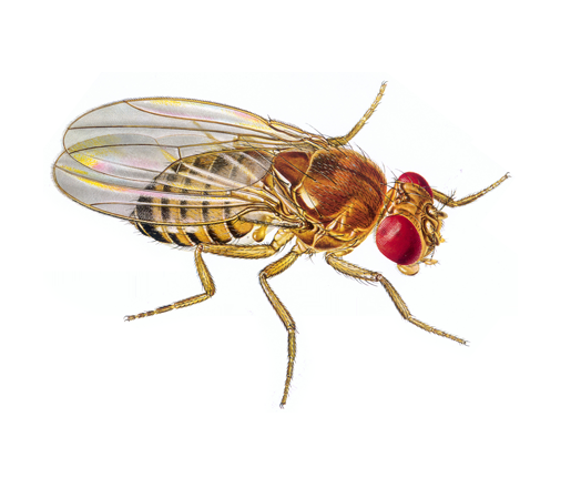 高中生物学习经验分享