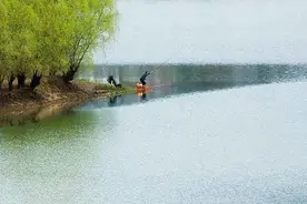 钓友们都知道气压低时鱼难钓，但怎么判断当时是低气压？教你几招图片