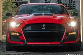 眼镜蛇徽章，谢尔比GT500，新车上市，内饰豪华，详情图片图片