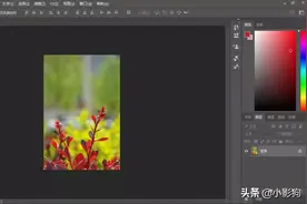 ps入门使用教程之——套索工具图片