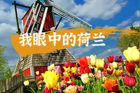 我眼中的荷兰，那些风车与郁金香的思绪图片