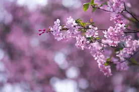 王阳明：知行合一，重在事上磨练图片
