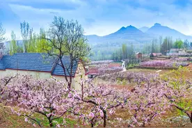 登崮上草原，观岱崮奇观|岱崮地貌第十五届桃花节开幕图片