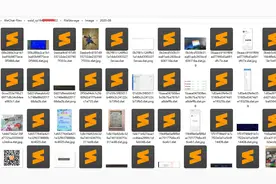 关于电脑端微信下的dat数据解码图片