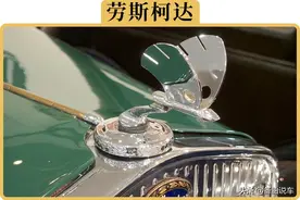 为什么说“懂大众的都买了斯柯达”？图片