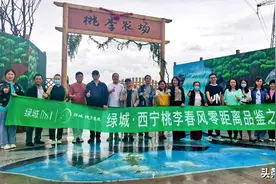 初鉴绿城 终遇美好，绿城西宁桃李春风品牌零距离品鉴之旅优雅落幕图片