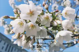 颜值爆表的河南高校！四季"四副面孔"，在这上学也太幸福！图片