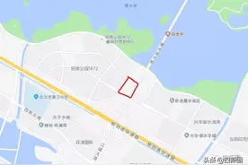 市民建议汉阳四新招商公园1872绿化带改建成儿童游乐场图片
