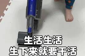 表情包：铁锅炖自己图片