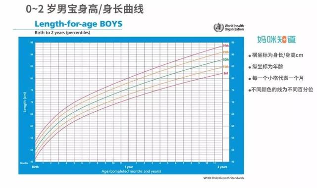 宝爸宝妈看过来：孩子比同龄人矮是“晚长”吗？