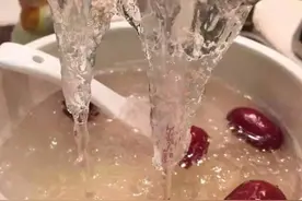 历史上最完整的燕窝食谱做法图片