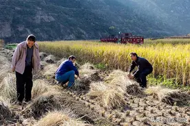 太行绝壁上的“人间天河”，钻透54座山峰，跨越49道沟壑图片