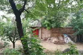 农民打工存下有100万存款，从40岁开始不上班，能生活下去吗？图片