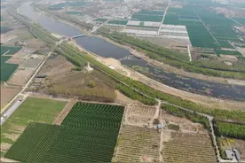 山东滕州郊野公园，上善公园，十里画廊、桃红柳绿图片