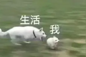 深圳17岁女孩被男友精神控制自残流产还犯罪入狱，幸好后来遇到她……图片