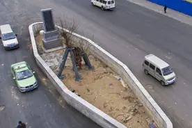 “钉子树”挡住主干道，郑州政府不强拆，立碑围墙保护如今成景观图片