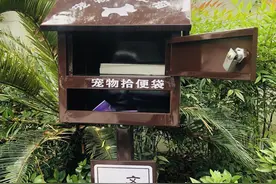 宁波这个社区居民边遛狗边做志愿服务 带动大家文明养犬图片