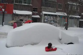 大雪过后野兔多！为何野兔喜欢在下雪天出来，它们不怕冷吗？图片