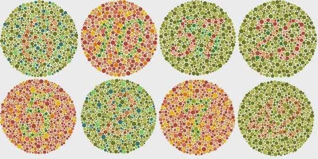 先天性色觉障碍通常称为色盲,它不能分辨自然光谱中的各种颜色或某种