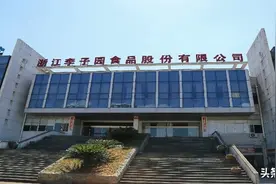 李子园IPO：产品质量仍是“问题”集体转私营存众多疑点图片