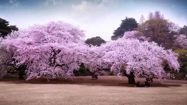 全部的成语！收藏起来，回家教给孩子