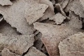 想要鸡多生蛋，不能只喂玉米糠，得加喂这两种高蛋白食物图片