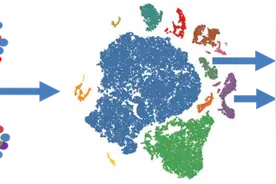 一篇Science文章带你走进单细胞测序的世界图片