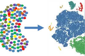 一篇Science文章带你走进单细胞测序的世界图片