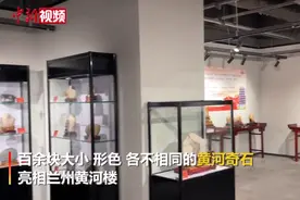 黄河奇石亮相兰州 快带上想象力一起来看图片