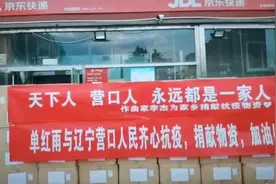 营口籍音乐制作人李杰向我市捐赠防疫物资图片