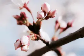 从北京双非直博中科院的逆袭经历图片