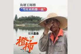 不明物体坠落嘉善鱼塘续：水位低螃蟹被鸟抓走，养殖户心疼图片