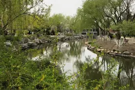 '渝乡桃子'事件有感图片