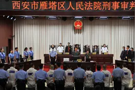 刚刚！长期把持基层政权，称霸一方！西安雁塔一涉黑组织被判刑图片