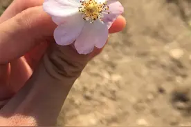 在外面请叫我姐姐，在家里叫妈妈图片