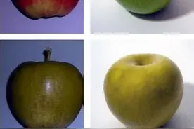 一副纳米隐形眼镜，色盲近视全解决图片