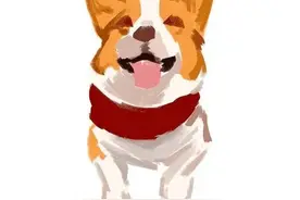 运城市养犬管理收费标准出台！8月1日起实施图片