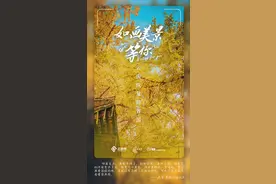 我在云南，等风也等你图片