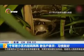此前不堪忍受蛙声一片的这个小区现在如何了？老住户：习惯就好图片