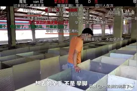 240天后华农兄弟“竹鼠”视频又火爆全网，可这次没人笑得出来图片