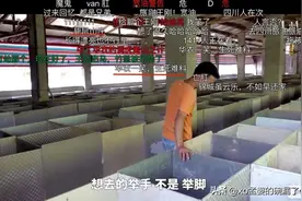240天后华农兄弟“竹鼠”视频又火爆全网，可这次没人笑得出来图片