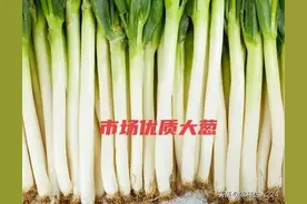 今年大葱价一直暴涨，还能吃起吗？教你动动手就有吃不完的大葱图片