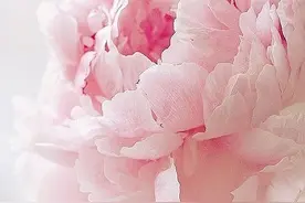“脸红恐惧症”困扰暗恋中的女孩，她在逃避害怕拒绝的恐惧图片