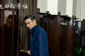 巡回检察组：陈秘书露馅，在黄雨虹家现身，你还能说他是好人吗图片