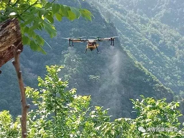 镇安县首次开展核桃病虫害无人机飞防工作