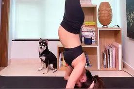 道德绑架？香港著名女星怀孕5个月挺巨肚玩倒立，引网友网络骂战图片