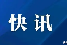 南阳至深圳新增往返航班丨南阳23路公交线路优化调整图片