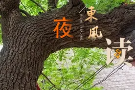 【夜读 · 散文】老槐树下的记忆图片