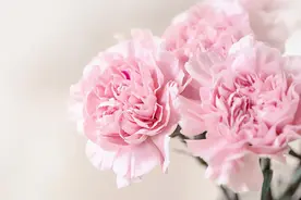 女人想你了，往往会用三种暗示提醒你主动图片